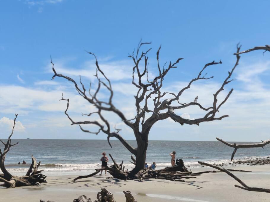Jekyll Island House/ Kellys On The Coast /King Bed Villa Eksteriør billede